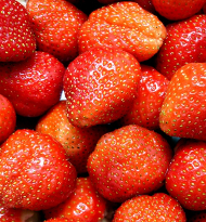 Erdbeeren