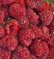 Himbeeren